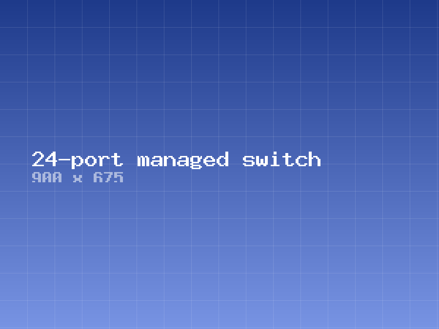 24-port managed switch