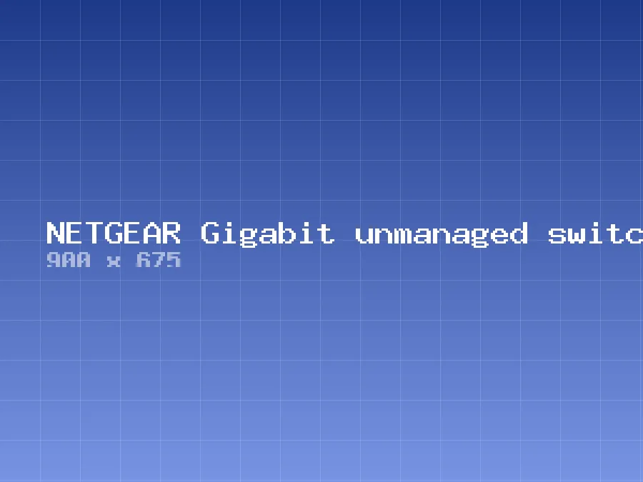 NETGEAR Gigabit unmanaged switch